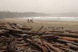 Logs+on+shoreline%2C+Florencia+Bay++Vancouver+Island%2C+Canada