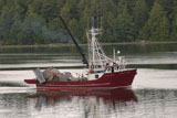 Tug+Boat%2C+Ucluelet+Harbour%2C+Vancouver+Island%2C+Canada