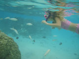 A+young+woman+swimming+underwater+wearing+scuba+gear%2C+Moorea%2C+Tahiti%2C+French+Polynesia%2C+South+Pacific