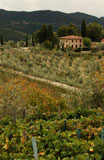 Landscapes+-+Tuscany%2C+Italy