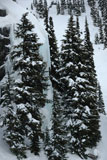 Whistler+BC+Skiing+Canada
