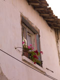 Flowers+in+a+window+in+Kusadasi+Turkey