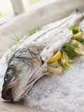 Whole+Seabass+Roasted+in+a+Sea+Salt+Crust+with+Fennel