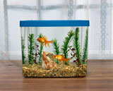 Two+goldfish+in+an+aquarium