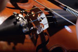 Close-up+of+the+strings+on+a+violin
