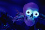 Close-up+of+glowing+eyes+in+a+human+skull