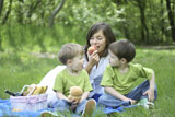 family+picnic+in+the+forest