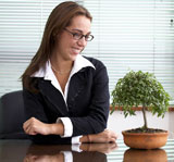 business+woman+with+a+bonsai+tree+in+an+office