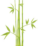 Bamboo%2C+vector+%28mesh%29