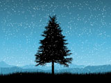 christmas+tree+on+a+snowy+night
