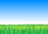 Vector+illustration+of+four+highly-detailed+separated+groups+of+grass+outlines+on+a+gradient+blue+sky.