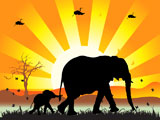 Family+of+elephants+on+nature+walk