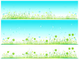 Grass+green%2C+summer+background%2C+flowers+and+butterflies
