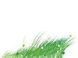 Grass+silhouette+green%2C+summer+background