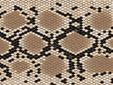 Snake+skin+with+the+pattern+lozenge+form