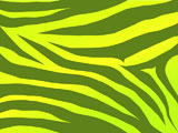 Vector+green+and+yellow+stripped+tiger+design