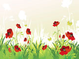 red+poppies+on+green+field+with+copy+space%2C+vector+illustration