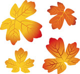 red+and+yellow+autumn+leaves+-+vector+illustration
