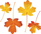 red+and+yellow+autumn+leaves+-+vector+illustration