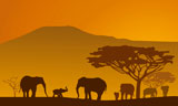 Silhouettes+of+elephants+on+backgrounds+Kilimanjaro