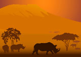 Silhouettes+of+rhinoceroses+in+national+park+of+Kenya