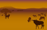 Silhouettes+of+herd+of+antelopes+and+lions+in+savanna