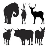 vector+silhouettes+of+farm+and+wild+animals
