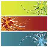 floral+banners+%28headers%29%2C+vector+illustration