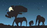 african+night%2C+family+of+elephants%2C+vector+illustration+