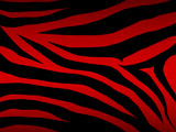 vector+zebra+background+in+red