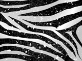 scrapped+vector+zebra+background+in+black+and+white