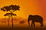 Silhouettes+of+elephants+on+backgrounds+Kilimanjaro