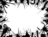 Border+frame+of+editable+vector+outlines+of+insects+and+other+invertebrates
