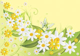 Yellow+and+white+camomiles+on+green+also+it+is+light+a+yellow+background+with+butterflies