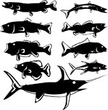 Freshwater+and+saltwater+fish+in+vector+silhouette+with+stylized+illustration