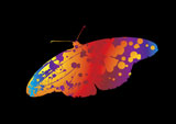 silhouette+of+a+butterfly+with+ink+splats+in+bright+colours