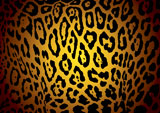 illustrated+yellow+and+black+jaguar+skin+background+with+camouflage+effect
