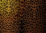 Abstract+leopard+skin+or+hide+background+with+camouflage+texture