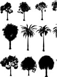 Collection+of+silhouette+trees+over+a+white+background