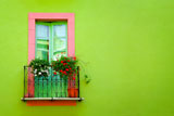 home+sweet+home%3A+green+window+against+a+green+wall