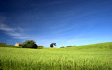 Green+field+landscape+with+a+great+blue+sky