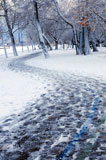 Winter+park+and+recreational+trail+covered+with+snow.+Beach+area%2C+Toronto%2C+Canada.