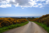 lonesome+road+in+northern+Scotland+surrounded+by+gorse+