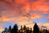 red+clouds+at+sunset+above+tree+silhouettes+on+the+Lake+Tahoe+California+