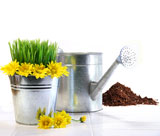 Garden+pot+with+grass%2C+daisies+and+watering+can+on+white+