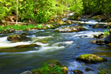 Water+rushing+among+rocks+in+river+rapids+in+Ontario+Canada+