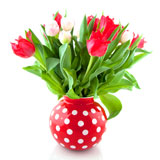 Red+and+white+tulips+in+speckles+vase+