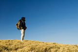 A+backpacker+walk+on+a+yellow+grassland+in+mountain.+