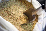 Lentils.+Spanish+legume.+Healthy+and+nutritional+food+