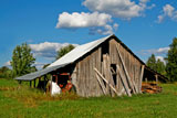old+barn